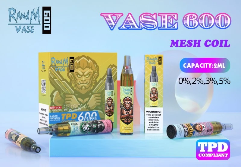 randm vase 600 puffsvape