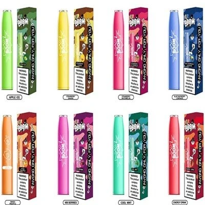 Oem/odm 600 Puffs Disposable Electronic Cigarette Vape
