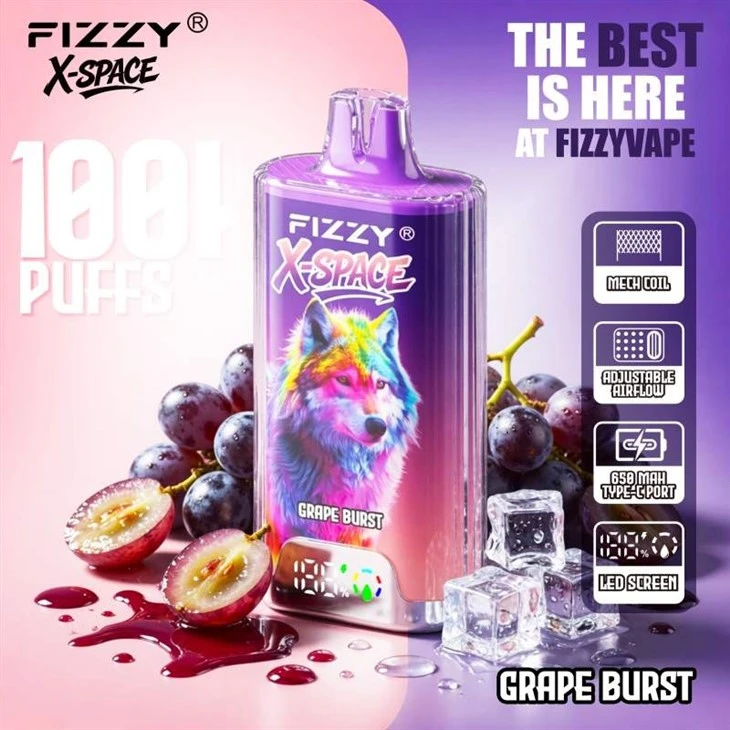 Fizzy X Space 100K suppliers Fizzy X Space 100K suppliers