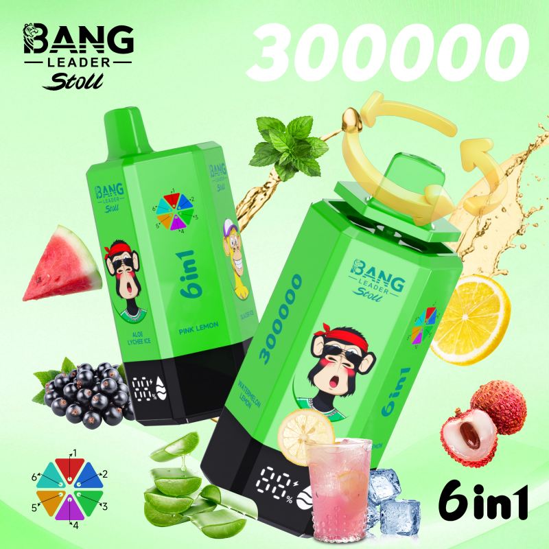 bang leader 300000 11 bang leader 300000 11