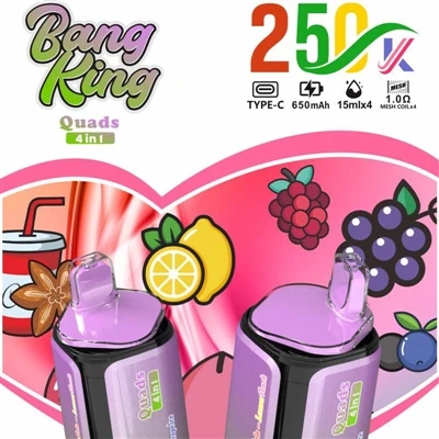 BANG KING Quads 4IN1 250000: Ib qho Kev Paub Tshiab Tshiab hauv Premium Dispo...