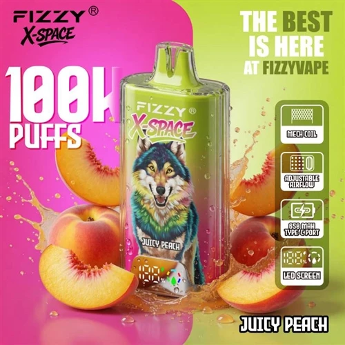 Fizzy X Space 100K: Kev Pom Zoo Ntawm Txoj Kev Zoo Siab -Vapacity Disposable ...