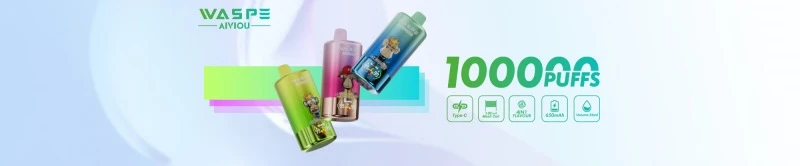 Waspe 4 in 1 100000 31