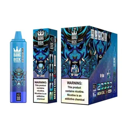 Bang BOX 20000