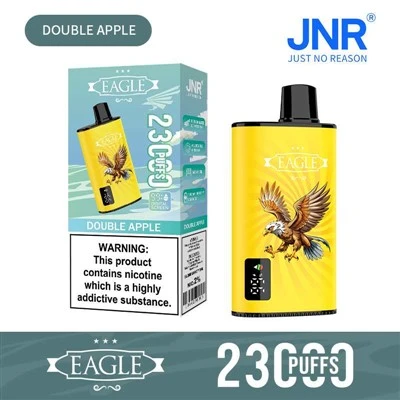 JNR E9GLEG 23000 Puffs