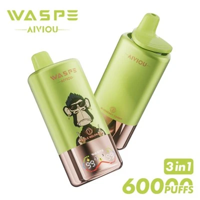 Waspe aniviou 60k