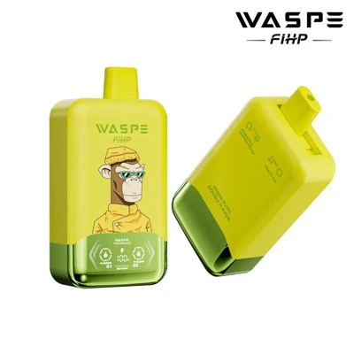 Waspe FIHEP 40000 Puffs Dual Flavors