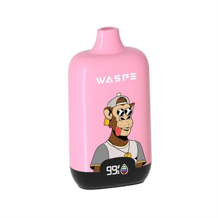 WASPE Digital Box 12000 19