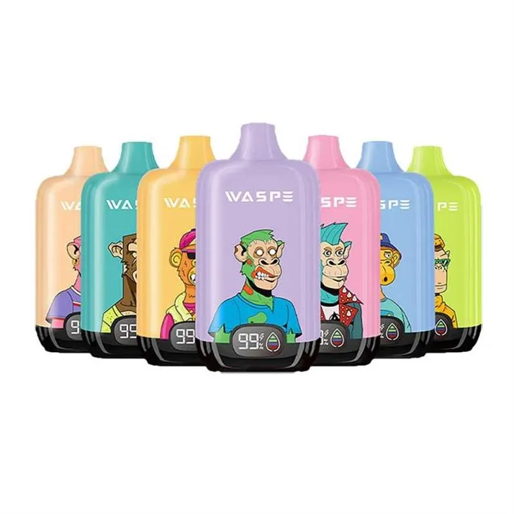 WASPE Digital Box 12000 7